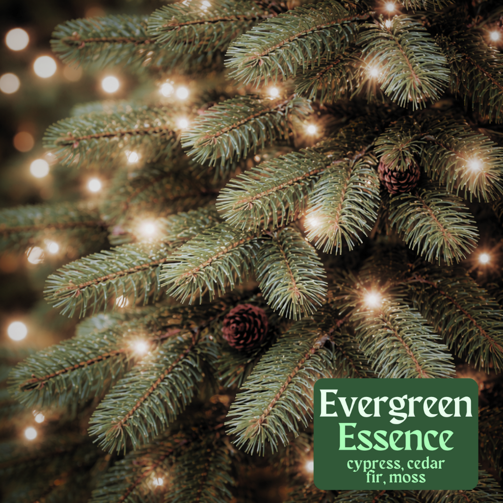 Evergreen Essence