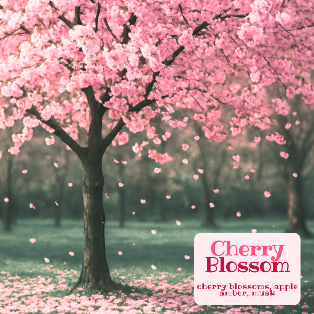Cherry Blossom *Limited Offer*