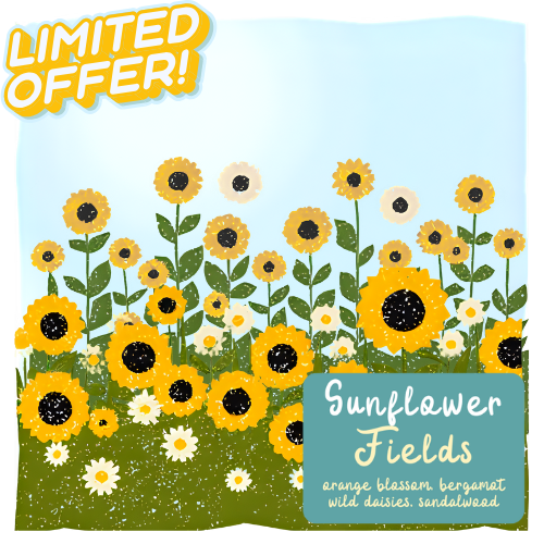 Sunflower Fields *Limited Offer*